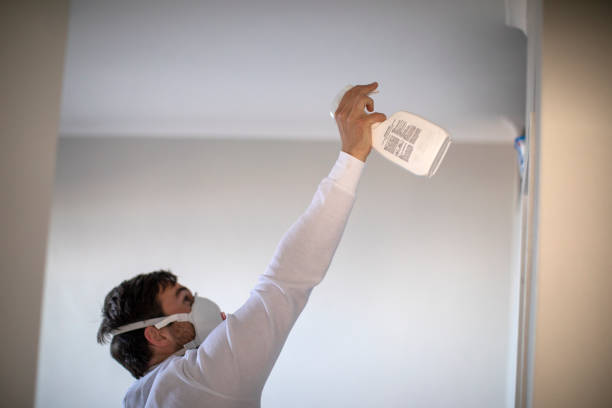 Best Commercial Mold Removal  in Port Dickinson, NY