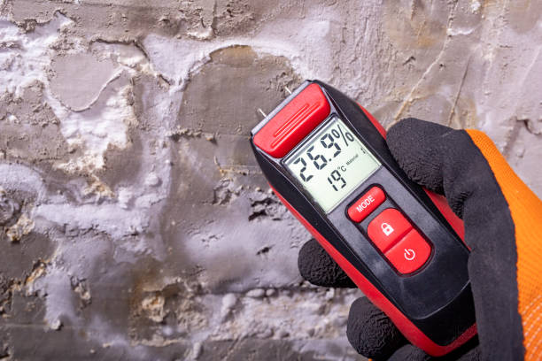 Mold Removal and Inspection in Port Dickinson, NY