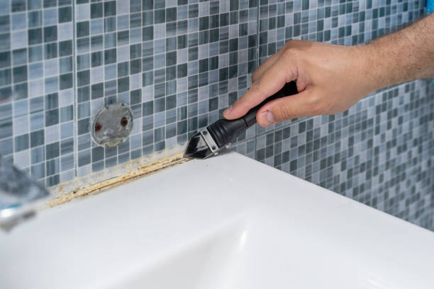 Best Best Mold Removal Companies  in Port Dickinson, NY